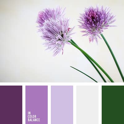 светло-изумрудный цвет | IN COLOR BALANCE