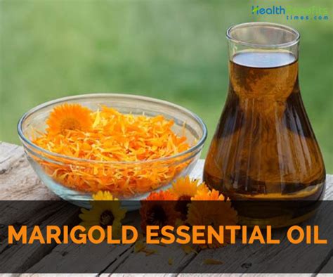 Marigold Essential Oil Facts And Health Benefits