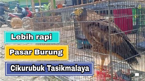 Jalan Jalan Ke Pasar Burung Cikurubuk Tasikmalaya YouTube