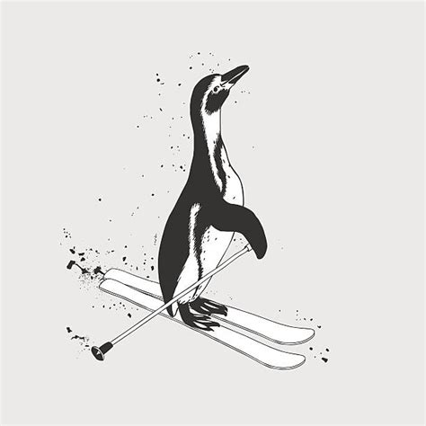 Best Penguin Ski Illustrations Royalty Free Vector Graphics And Clip Art