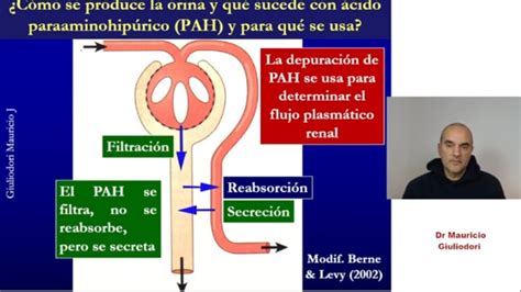 Fisiología renal depuración aclaramiento o clearence renal rápido y