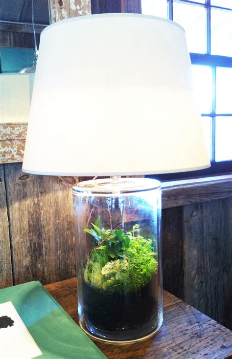 Terrarium lamp - a beautiful and unique way to bring nature into your ...