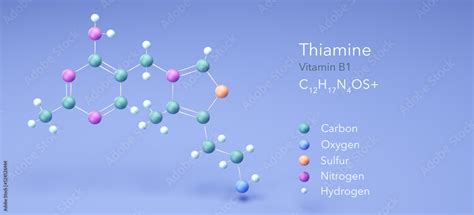 Thiamine Vitamin B Molecular Structures D Model Structural