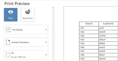 Printing In Wpf Datagrid Control Syncfusion