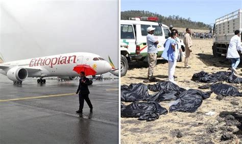 Ethiopian Airline Crash Boeing 737 Max 8 Grounded In 4 Countries