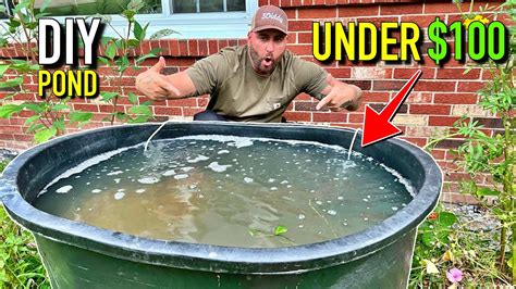 How to Build a Stock Tank Pond: Easy DIY Guide