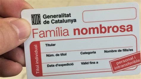 Solicitar título de familia numerosa en Castilla La Mancha guía completa