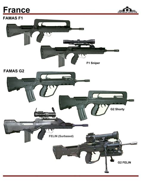 Famas Junglekeyfr Image 250