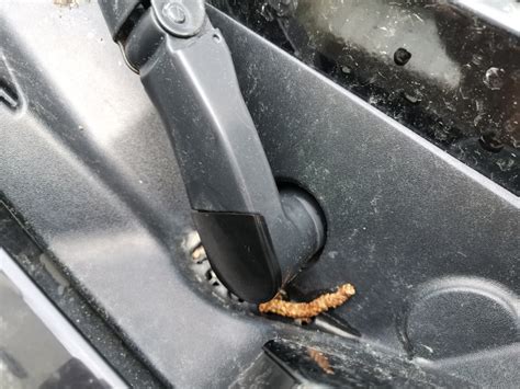 Заглушки поводков дворников — Hummer H3, 3,5 л, 2005 года | аксессуары ...