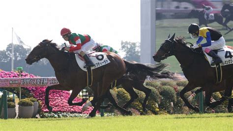 【京都4r新馬】ラブディーヴァv 松若「センスの良さを生かした競馬ができました」― スポニチ Sponichi Annex ギャンブル