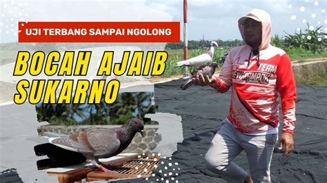 Tes Ngolong Bocah Ajaib Dan Sukarno Rampok Jr New Rampok Youtube