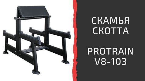Тренажер "Скамья Скотта" Protrain V8-103 - YouTube