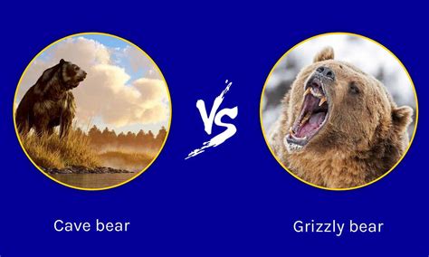 Epic Battles: Cave Bear vs. Grizzly Bear - A-Z Animals