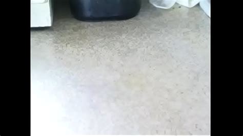 Tawny Videos XVIDEOS