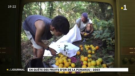 En quête des fruits d or de la Punaruu 2003 YouTube