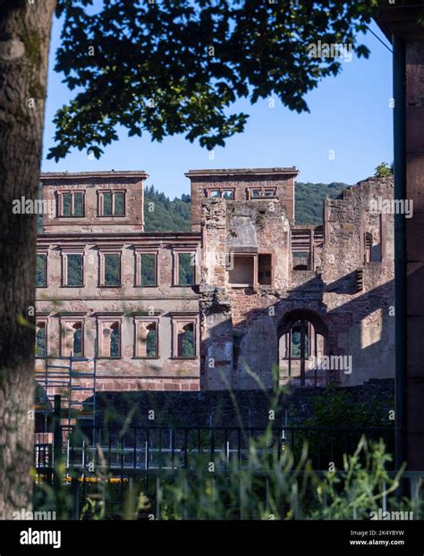 Detail Of Heidelberg Castle German Heidelberger Schloss Baden