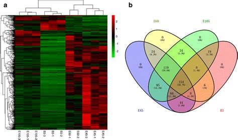 Analyses of differentially expressed lncRNAs in the RNA-seq libraries ... 