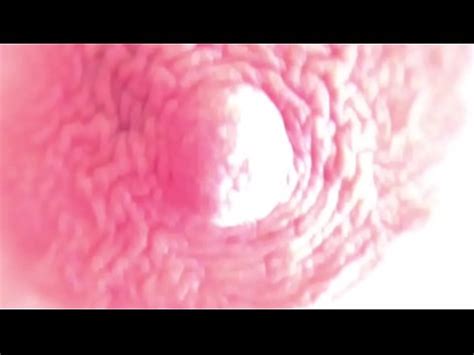 Fucking My Pussy For You Rosafuxxxia Camshow 1 XVIDEOS