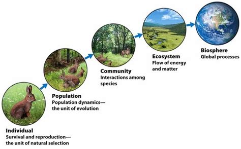 1000+ images about biosphere on Pinterest | Definitions, When you ...