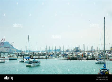 Weekend activity in Tauranga Bridge Marina along Tauranga Harbour ...