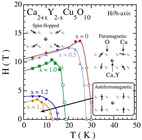 Color Online Magnetic Phase Diagram Of Ca Xy Xcu O With X