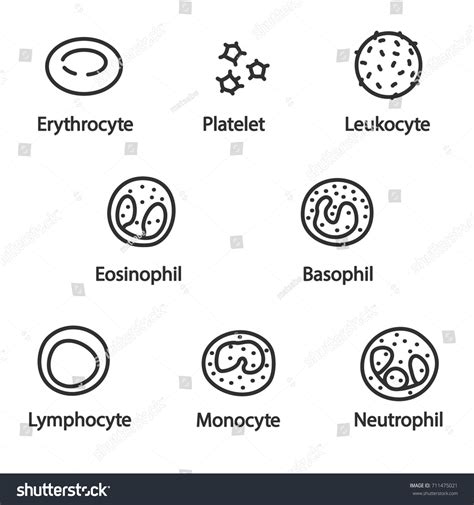 Platelet icon Images, Stock Photos & Vectors | Shutterstock