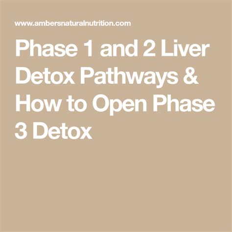 Phase 1 And 2 Liver Detox Pathways How To Open Phase 3 Detox Artofit