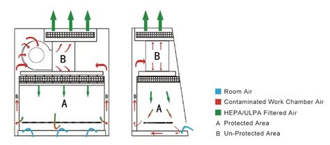 Biological Safety Cabinets Bscs Classes With Examples