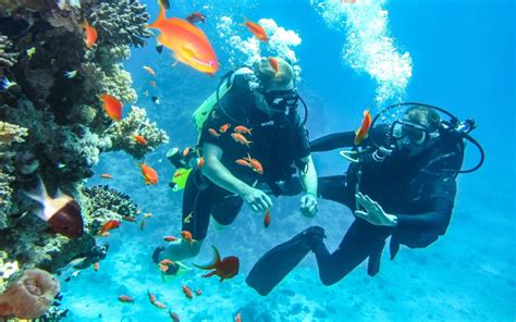 places  scuba dive   world storyv travel