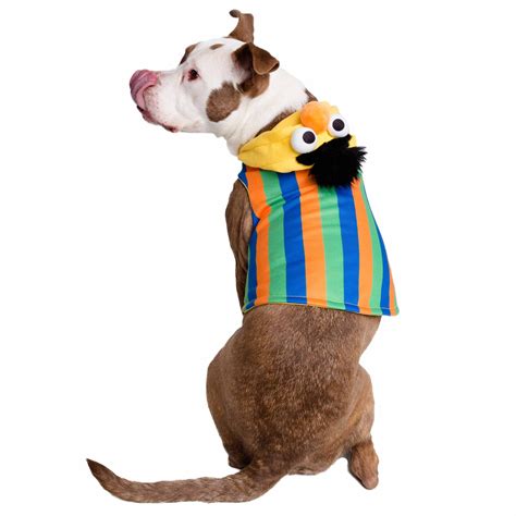 Sesame Street Bert Dog Hoodie – Pet Krewe