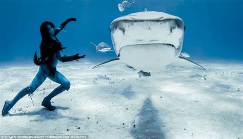 Hannah Fraser Model Swims With Ft Killer Tiger Sharks In Images By