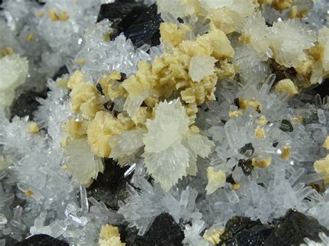 Quarzo Sfalerite Calcite Dolomite Cristalli Su Matrice Altezza