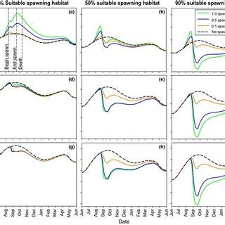 Model Simulations Of Periphyton Biomass Dynamics With Different