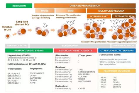 what is end stage multiple myeloma like - Try Your Best Day-By-Day ...