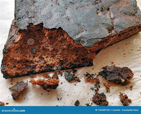 Cooking Failure Burnt Pie With Black Crust Stock Photo Image Of