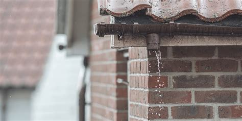 Penetrating Damp Kent South East Timber Damp