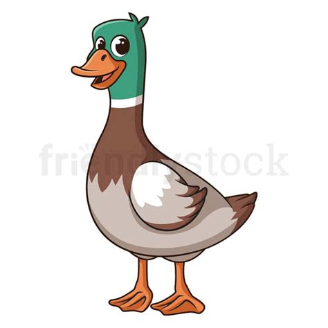 Cartoon Female Mallard Duck Illustration Vector Clip Art FriendlyStock