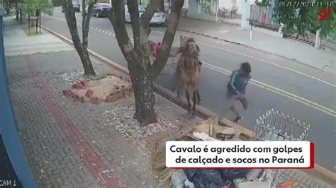 V Deo Cavalo Agredido Golpes De Sapato E Socos Na Cabe A Em Rua