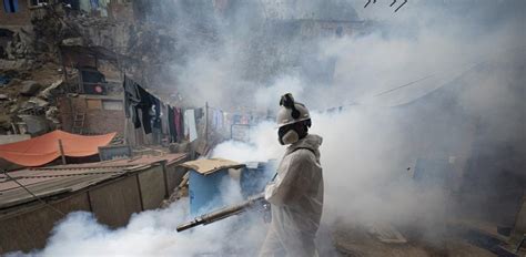 Con brigadas sanitarias Perú busca controlar dengue que deja 79