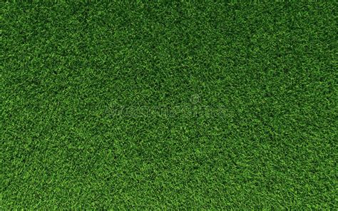 Grass Top View Png