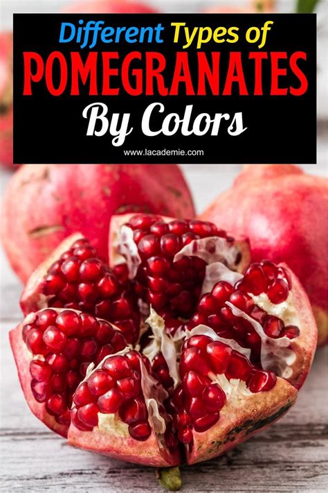 Top 19 Pomegranate Varieties By Color For 2024