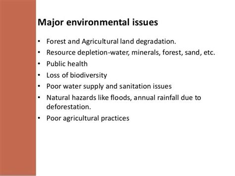 Environmental Issues In International Business