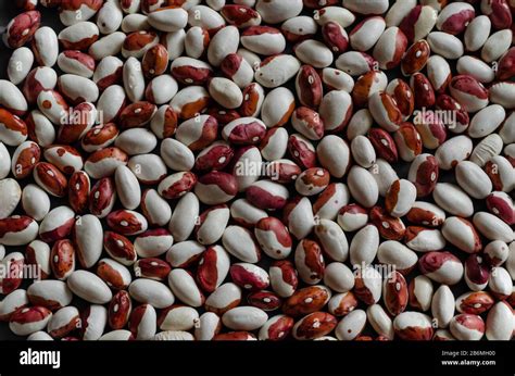 Anasazi Beans Background Demonstration Of A Group Of Dry Beans Close