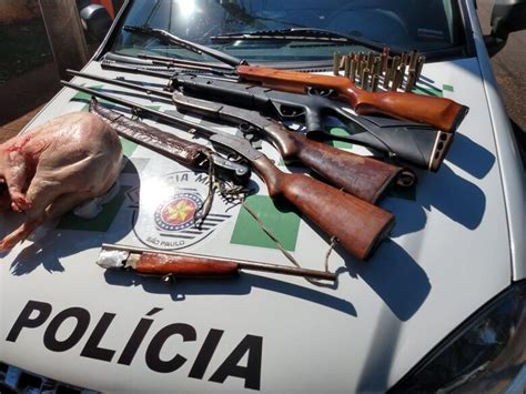 Seis Armas De Fogo S O Apreendidas Durante Opera O Florestas Mais