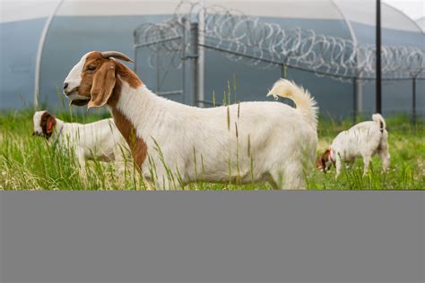 Local advocates call for more reforms at the el paso jail annex 26