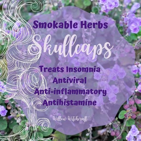 Smokable Herbs Aromatherapy Herbs Plant Crafts Herbs