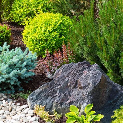 Landscape Boulders Guide Enhance Your Yard With Decorative Boulders