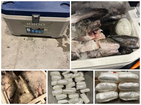 Agentes De CBP Decomisan Metanfetamina En Una Hielera Llena De Pescado