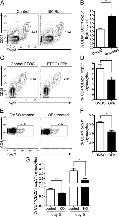 Thymocyte Apoptosis Drives The Intrathymic Generation Of Regulatory T