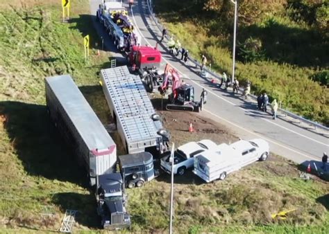 13 Cows Dead In Connecticut Tractor Trailer Rollover